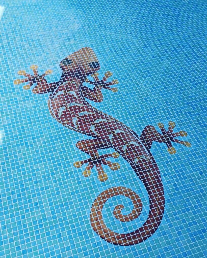 51880951_2209424809116831_4218639078540705792_n